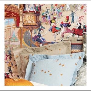 Cole & Son Luxury wallpaper  New 2 rolls!
